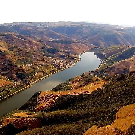 Montes E Vales No Centro Vila Real