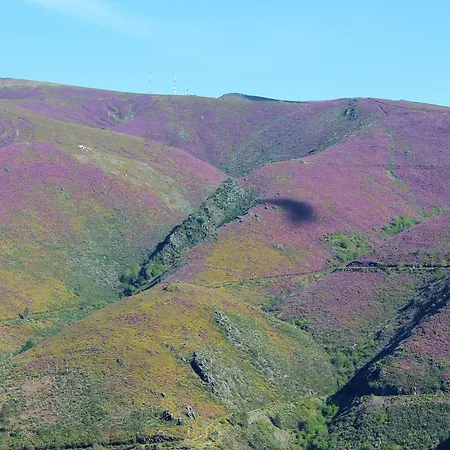 Apartamento Montes E Vales No Centro *
