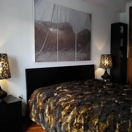 Montes E Vales No Centro