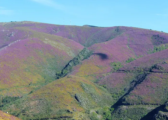 아파트 Montes E Vales No Centro *